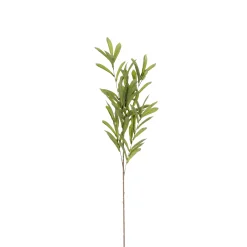 Sfeermakers|ohgreen Olijf branche groen - l85cm