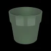 Ecocheques|Potten En Vazen|ohgreen ORIGINAL ROND MINI 7CM BLAD GROEN
