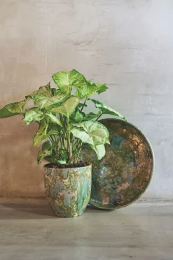 Potten En Vazen|ohgreen POT D44 ARRAY GRASGR