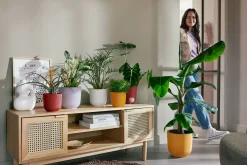 Potten En Vazen|Ecocheques|ohgreen Pot jazz rond 14cm amber geel