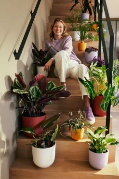Potten En Vazen|Ecocheques|ohgreen Pot jazz rond 16cm lavendel lila