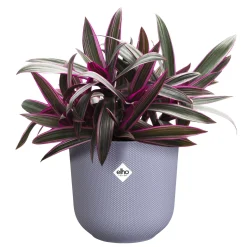 Potten En Vazen|Ecocheques|ohgreen Pot jazz rond 16cm lavendel lila