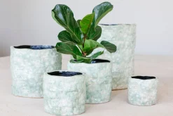 Potten En Vazen|ohgreen Pot reef