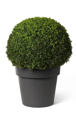 Kunststof|Ecocheques|ohgreen Pot rond happy met wielen 50h 41 antraciet