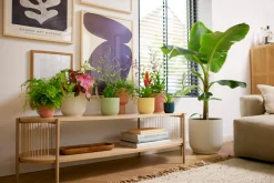 Potten En Vazen|Ecocheques|ohgreen Pot vibes fold 9cm botergeel