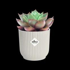 Potten En Vazen|Ecocheques|ohgreen Pot vibes fold 11cm delicate roze