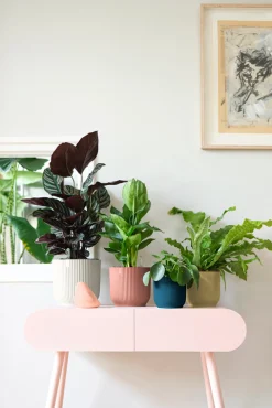 Ecocheques|Potten En Vazen|ohgreen Pot vibes fold 16cm diepblauw