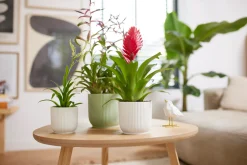 Potten En Vazen|Ecocheques|ohgreen Pot vibes fold 25cm zijdewit