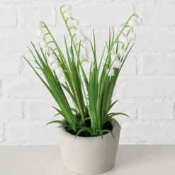 Sfeermakers|ohgreen Potplant