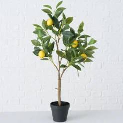 Sfeermakers|ohgreen Potplant Citroen