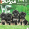 Puzzel|ohgreen Puzzle 1000 stuks Chiots/Puppies