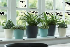 Ecocheques|Potten En Vazen|ohgreen Rond 25cm