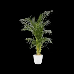 Ecocheques|Potten En Vazen|ohgreen Rond 18cm