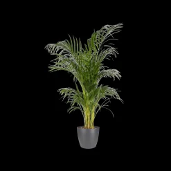 Ecocheques|Potten En Vazen|ohgreen Rond 18cm