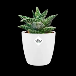 Ecocheques|Potten En Vazen|ohgreen Rond 9,5cm