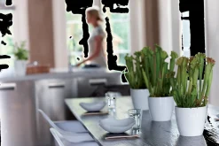 Ecocheques|Potten En Vazen|ohgreen Rond diamond 25cm