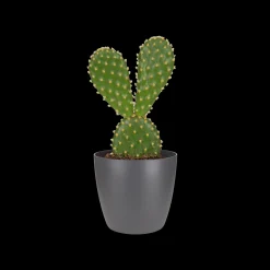 Ecocheques|Potten En Vazen|ohgreen Rond mini 7cm