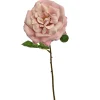 Sfeermakers|ohgreen Roos peach 45 cm