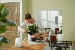 Bewatering|Ecocheques|ohgreen SELF-WATERING INSERT 24CM LIVING BLACK