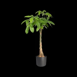 Ecocheques|Potten En Vazen|ohgreen SOFT ROND 16CM ANTRACIET