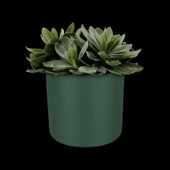 Ecocheques|Potten En Vazen|ohgreen SOFT ROND 16CM BLAD GROEN