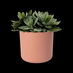 Ecocheques|Potten En Vazen|ohgreen SOFT ROND 14CM DELICAAT ROZE