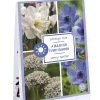 Ecocheques|Bloembollen|ohgreen Tas 'a bulb for every garden' met 35 bloembollen sunny garden