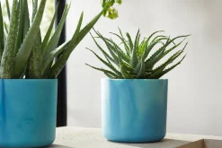 Potten En Vazen|Ecocheques|ohgreen The Ocean Collection 18cm Atlantic blue
