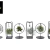Groene Planten|Ecocheques|ohgreen Tillandsia mix s