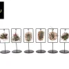 Groene Planten|Ecocheques|ohgreen Tilly Tiles Design (luchtplantje)