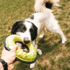 Verkoeling Voor Je Dier|Speelgoed|ohgreen Tug-o-war loop - y 21x5,2,5