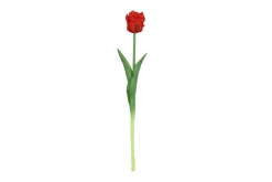 Sfeermakers|ohgreen Tulipa