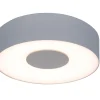 Verlichting|Ecocheques|ohgreen Ublo wand / plafondlamp small zilver led 8w