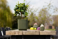 Potten En Vazen|ohgreen Vaas cilind groove 19x21