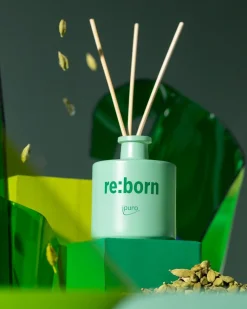 Geuren|ohgreen We are diffuser re:born