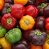 Zaden|Ecocheques|ohgreen Zaden: paprika mini bell mix